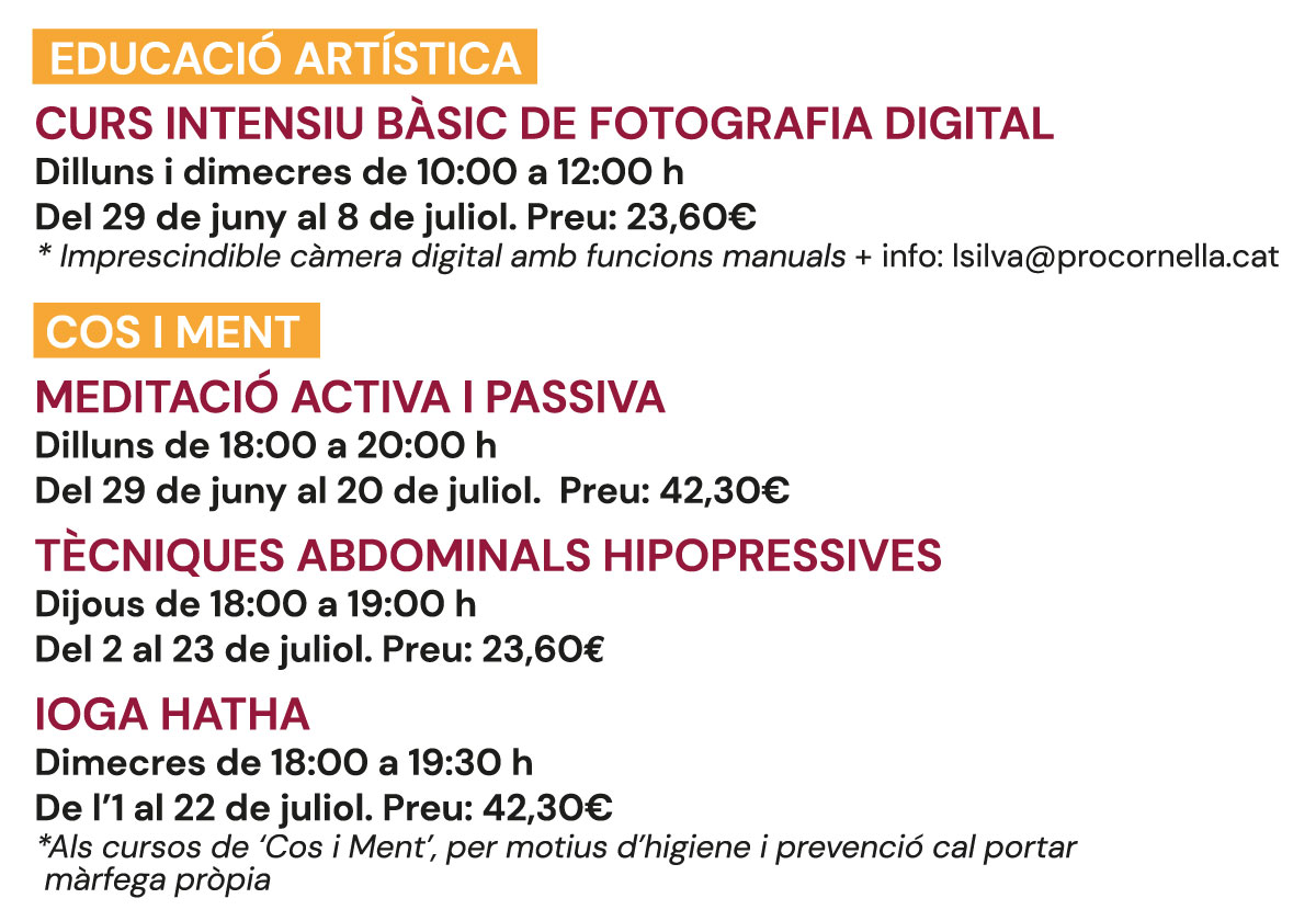AI-TEXTOS-CCIVIC-ESTIU26--w1
