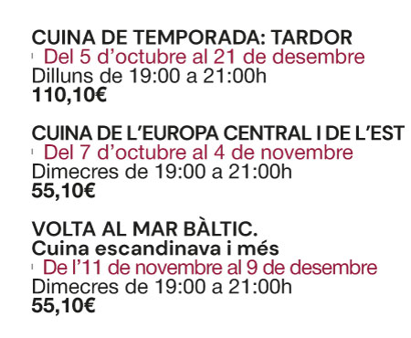 CCIVIC-TARDOR26-t3